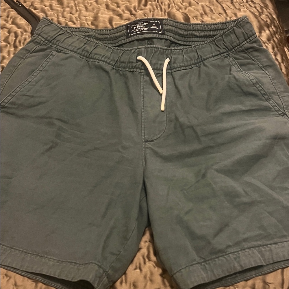 Abercrombie & Fitch Green Men's Shorts
